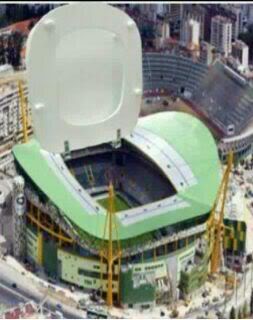 Toilet Bowl